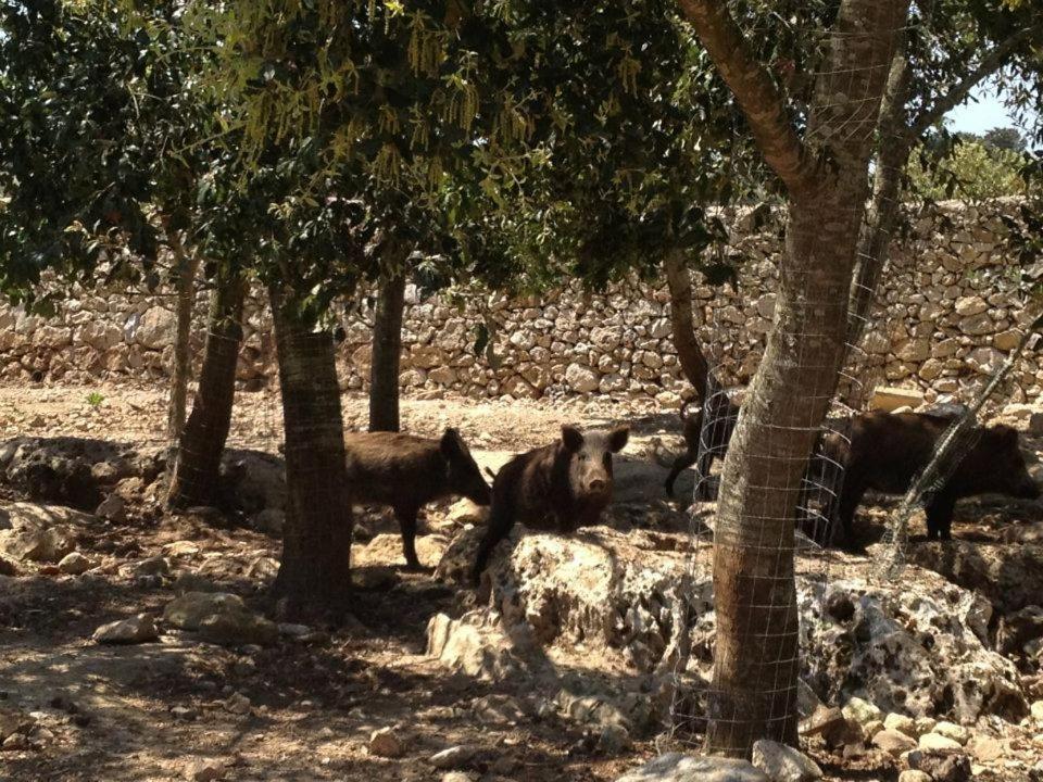 Masseria Autigne Otranto Buitenkant foto